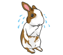 Royal College of Rabbit sticker #5115215