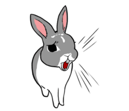 Royal College of Rabbit sticker #5115226
