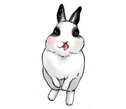 Royal College of Rabbit sticker #5115229