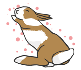 Royal College of Rabbit sticker #5115234