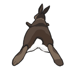 Royal College of Rabbit sticker #5115235