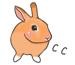 Royal College of Rabbit sticker #5115236