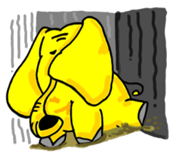 Elephant pig sticker #5117418