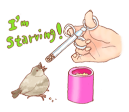 I love Javasparrow(as a pet) for English sticker #5118719