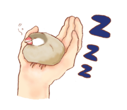 I love Javasparrow(as a pet) for English sticker #5118722