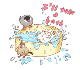 I love Javasparrow(as a pet) for English sticker #5118724