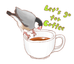 I love Javasparrow(as a pet) for English sticker #5118730