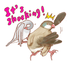 I love Javasparrow(as a pet) for English sticker #5118736