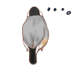 I love Javasparrow(as a pet) for English sticker #5118748