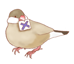 I love Javasparrow(as a pet) for English sticker #5118750