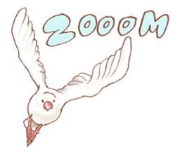 I love Javasparrow(as a pet) for English sticker #5118754