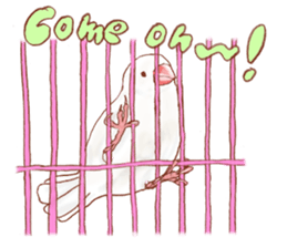 I love Javasparrow(as a pet) for English sticker #5118755