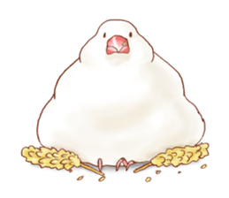 I love Javasparrow(as a pet) for English sticker #5118756