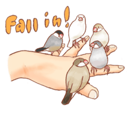 I love Javasparrow(as a pet) for English sticker #5118757