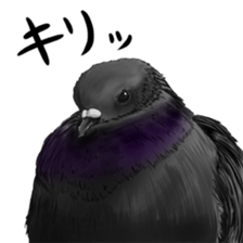 Neighbor Birds sticker #5119597