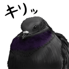 Neighbor Birds sticker #5119597