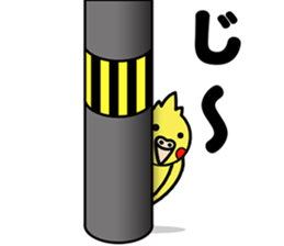 Pikachun of the cockateel sticker #5122679