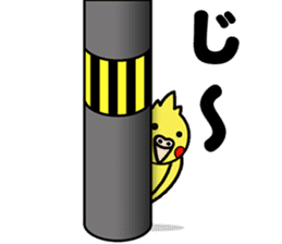 Pikachun of the cockateel sticker #5122679