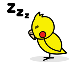 Pikachun of the cockateel sticker #5122686