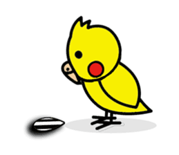 Pikachun of the cockateel sticker #5122712