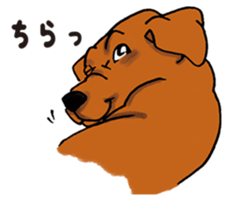 LoveRet! sticker #5125006