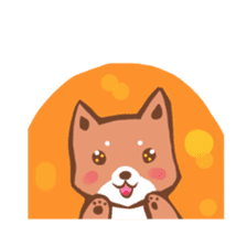 Shiba Inu Tom sticker #5127594