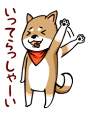 Cute! Funny dog and annoying cat sticker #5130999