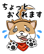Cute! Funny dog and annoying cat sticker #5131003