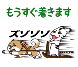 Cute! Funny dog and annoying cat sticker #5131034