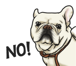 French Bulldog "BULLO" 3 sticker #5131799