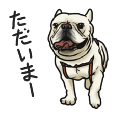 French Bulldog "BULLO" 3 sticker #5131800