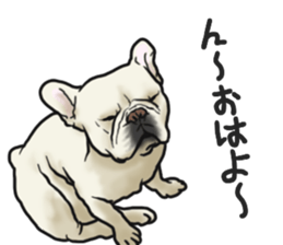 French Bulldog "BULLO" 3 sticker #5131803