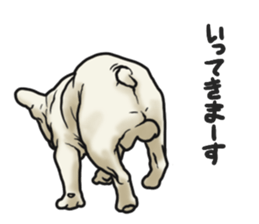 French Bulldog "BULLO" 3 sticker #5131804