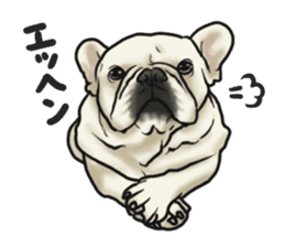 French Bulldog "BULLO" 3 sticker #5131805