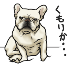French Bulldog "BULLO" 3 sticker #5131812