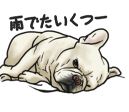 French Bulldog "BULLO" 3 sticker #5131813