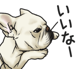 French Bulldog "BULLO" 3 sticker #5131814