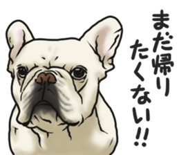 French Bulldog "BULLO" 3 sticker #5131817