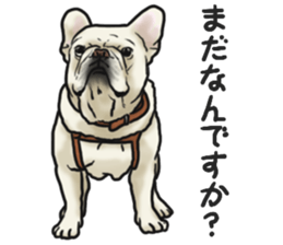 French Bulldog "BULLO" 3 sticker #5131821