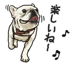 French Bulldog "BULLO" 3 sticker #5131823