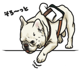 French Bulldog "BULLO" 3 sticker #5131827