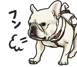 French Bulldog "BULLO" 3 sticker #5131829