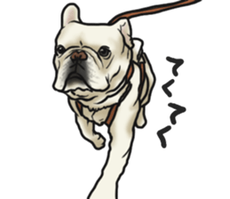 French Bulldog "BULLO" 3 sticker #5131831