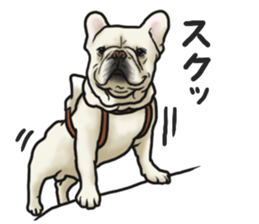 French Bulldog "BULLO" 3 sticker #5131834