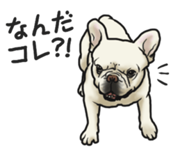 French Bulldog "BULLO" 3 sticker #5131837