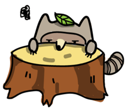 Haiiro Raccoon sticker #5134506