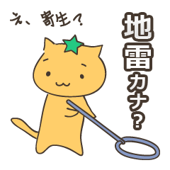 Let's play with the cat
