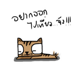 iToonMaewMuen sticker #5137465