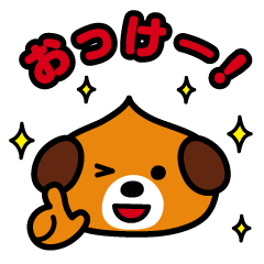 ChekeRaccho3 face / Animals