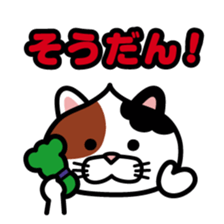 ChekeRaccho3 face / Animals sticker #5139131